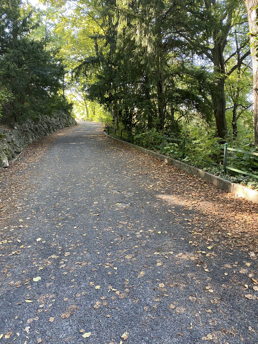 A lovely Halcyon walk home with my wife today in Berlin.