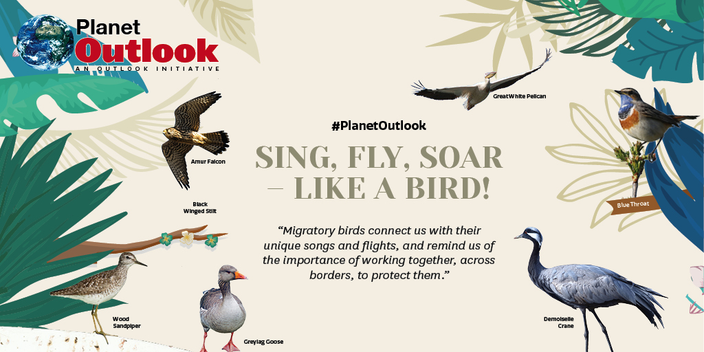 This year’s theme “#SingFlySoar #LikeABird!” focuses on the phenomena of “bird song” &amp; “bird flight” as a way to inspire &amp; connect people of all ages around the globe in their shared desire to protect and celebrate migratory birds. 

#WorldMigratoryBirdDay #WMBD2021