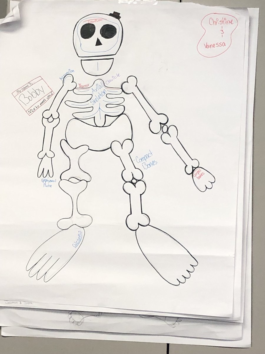 This week…students were thinking…ways they brought humor into the classroom. Had to be there…a twist on rapid fire and graphic organizers 😂