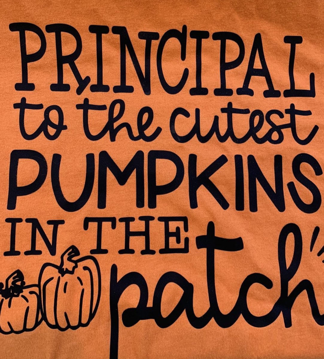 troyhoferelem's tweet photo. If you listen with intention you will hear OUR work in action: as students walked behind me heading to the bus at the end of the day I hear this, βI love school, yeah I love school too.β Job accomplished! #cutestpumpkinsinthepatch https://t.co/AlaebuuxkN