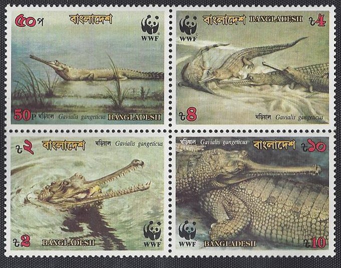skrokon's tweet image. Portraying #rivers or fisheries in postal stamp is common in a riverine country like #Bangladesh. But #Gharial, or #GavialisGangeticus, is definitely an exception. These 4 stamps, with #WWF logo, was released in 1990. Happy #WorldPostDay!
#SheikhRokon #RiverinePeople #RiverStamp