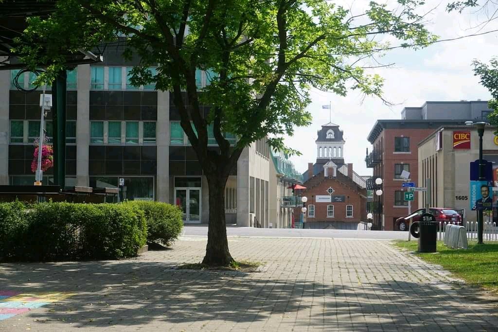 coeursvillesqc's tweet photo. Le verdissement et les arbres sont parmis les outils sous-estimés pour améliorer l'expérience client de nos rues commerciales et #coeursdevillesetvillages.
Verdir, c'est un investissement qui demande de la patience, mais il dure longtemps! #achatlocal #verdir https://t.co/KfPMiXhjBh