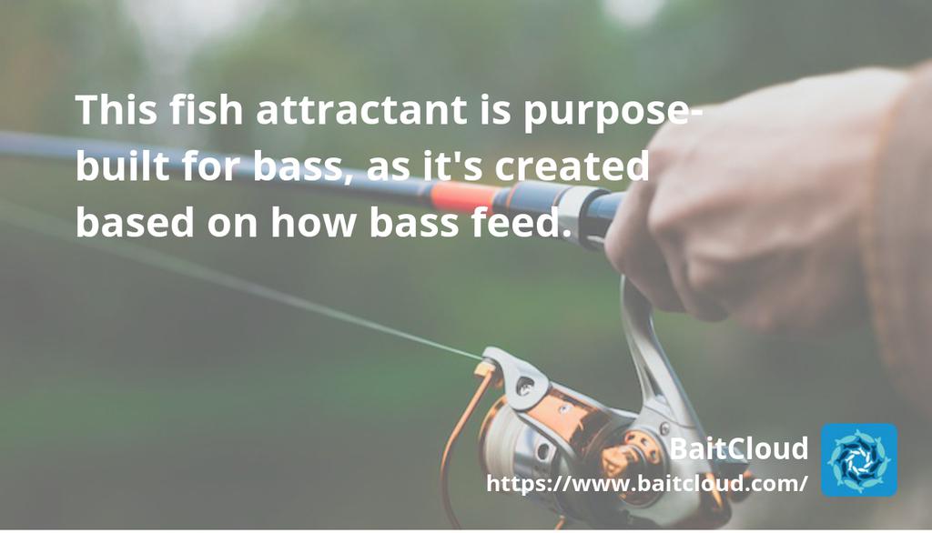 BaitCloud Fishing Corporation tweet media
