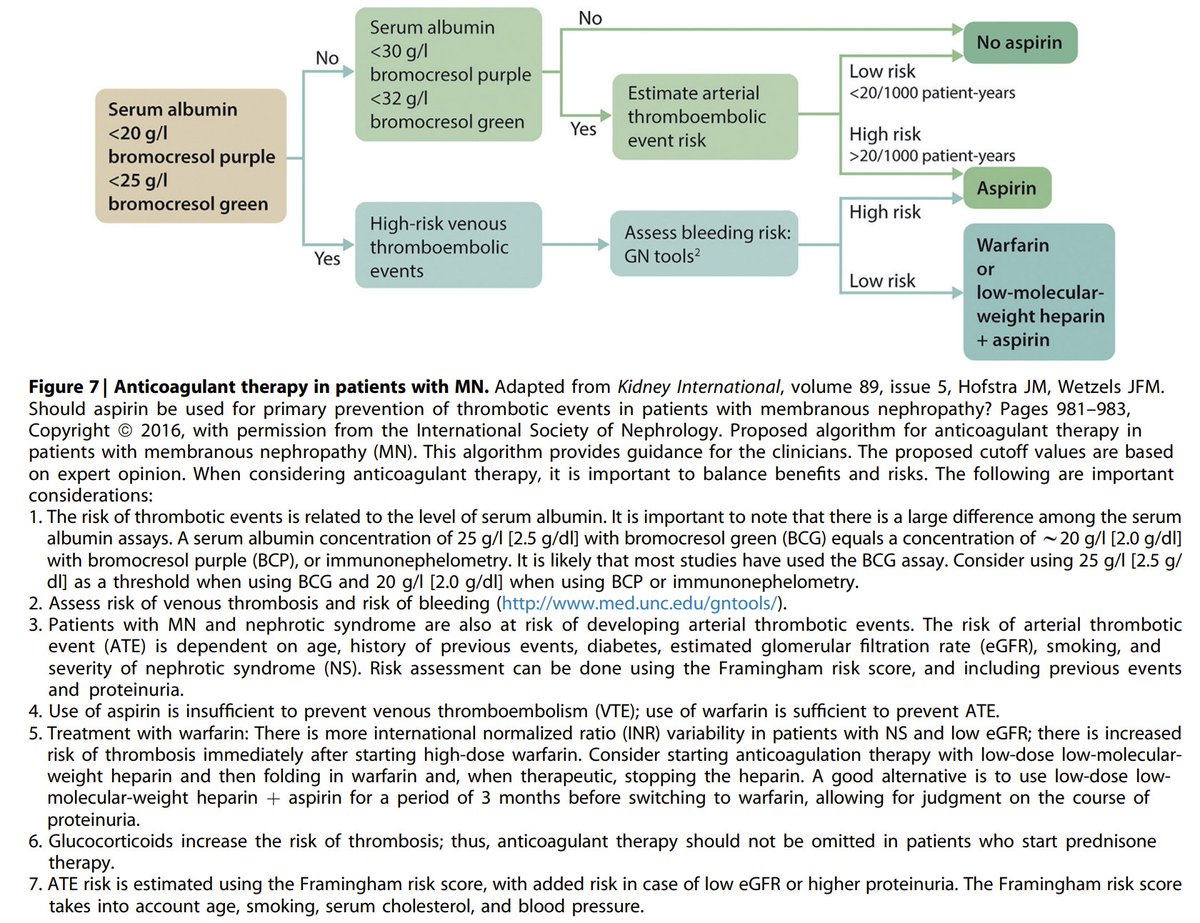 edgarvlermamd's tweet photo. Anticoagulation in patients with membranous nephropathy ca. 2021 from @goKDIGO #Nephpearls 

👉 Decision Analysis 📱 to assess risk of venous thrombosis and risk of bleeding https://t.co/0xJA1Bu57c https://t.co/uzzGpCOCFk