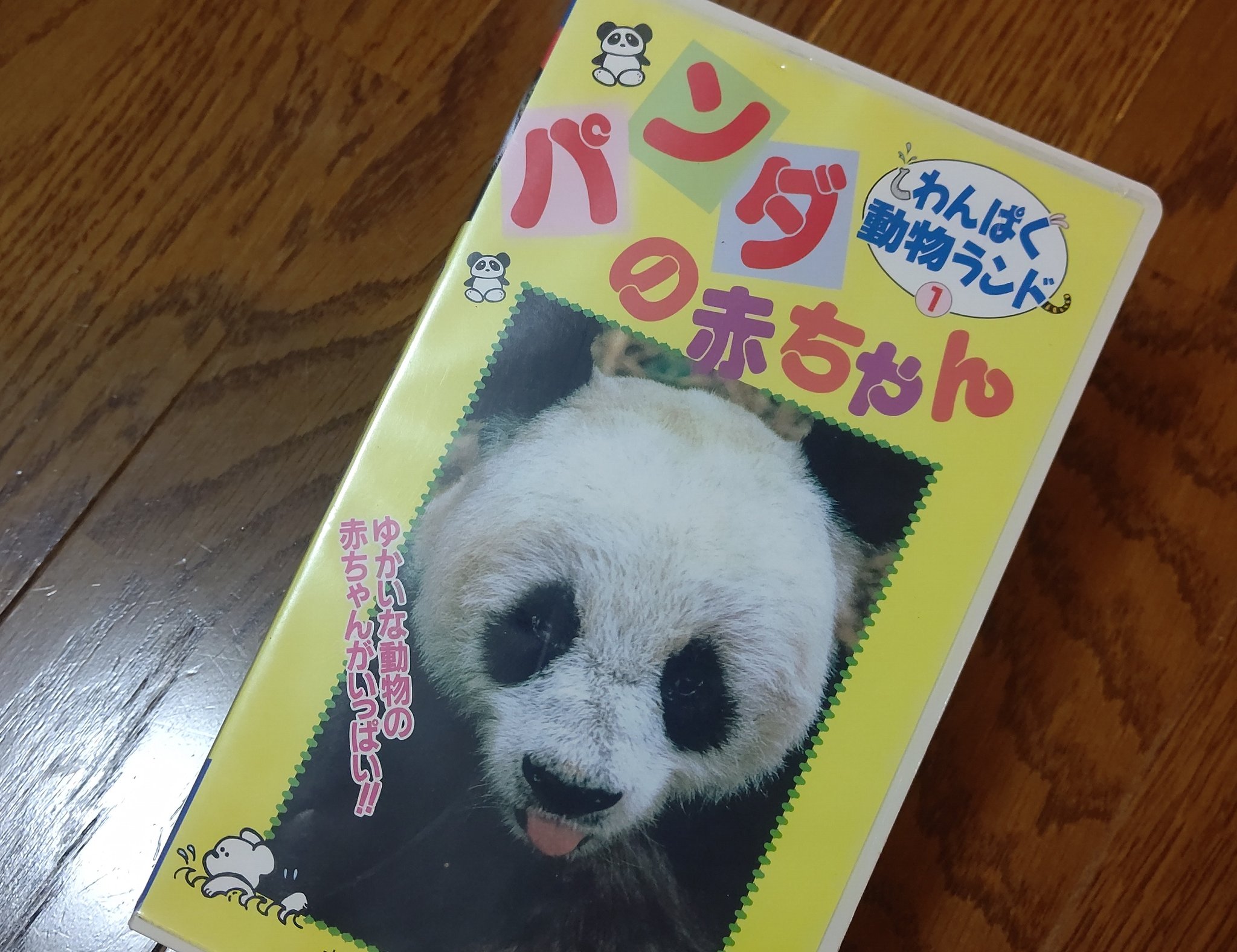新到着 池山由香  X: على ぬいぐるみ