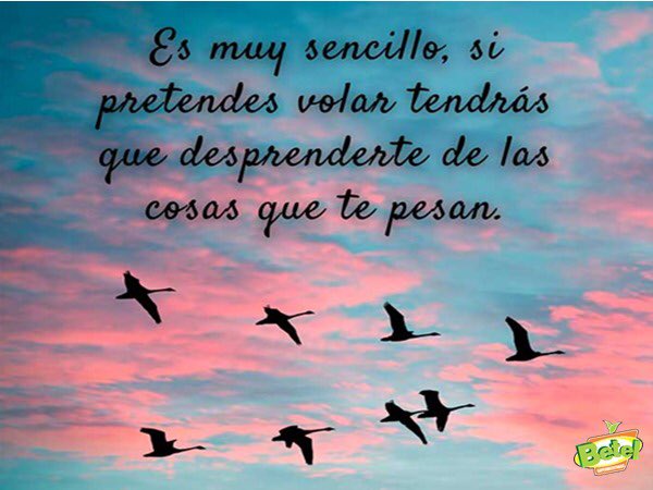 Mapaver's tweet photo. #FelizSabado #9DeOctubre https://t.co/6rwN76RL6Y