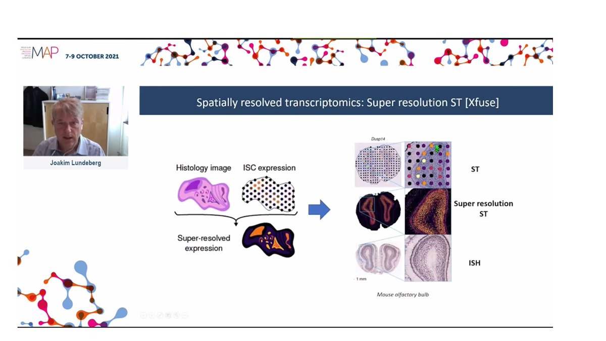 FAndreMD's tweet photo. The "Method of the Year" according to @naturemethods is being presented now at #MAP2021 ! high resolution spatial genomics https://t.co/7YlPFrKaU4