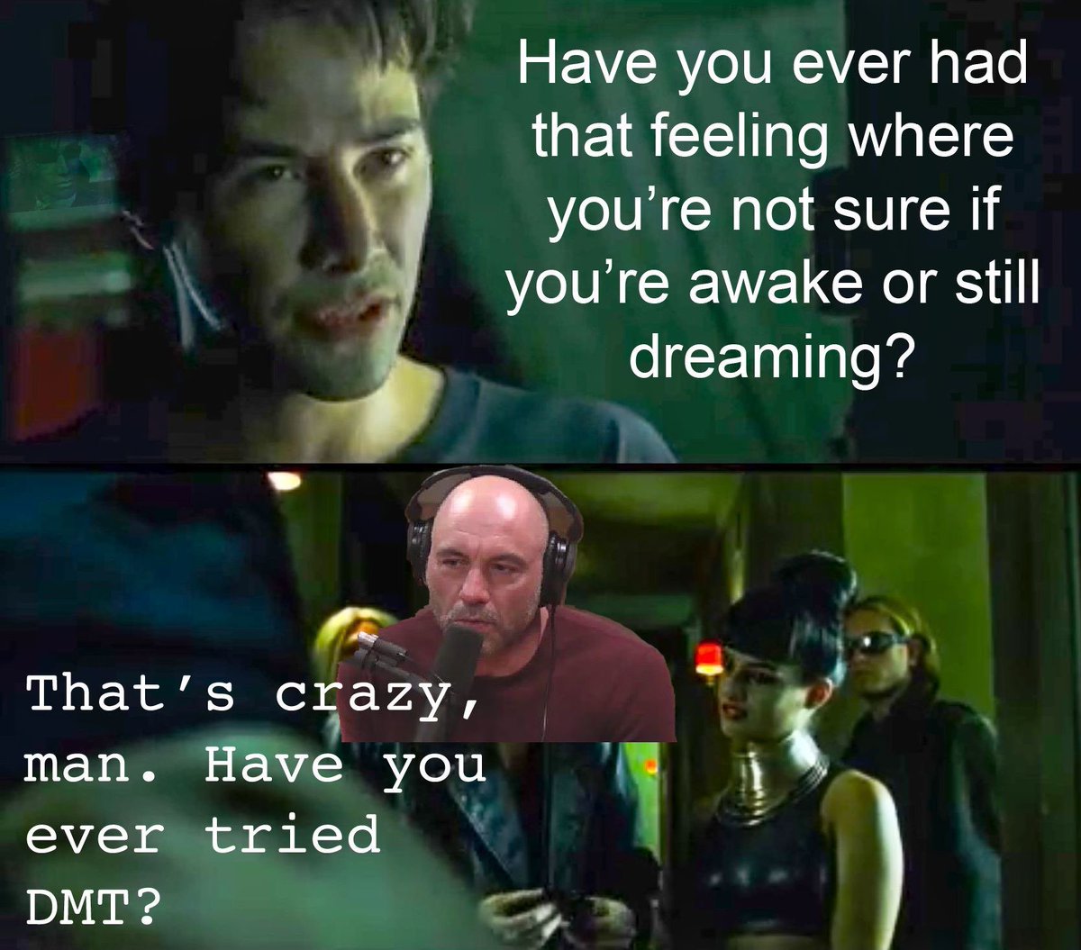 vesuveusmxo's tweet image. 