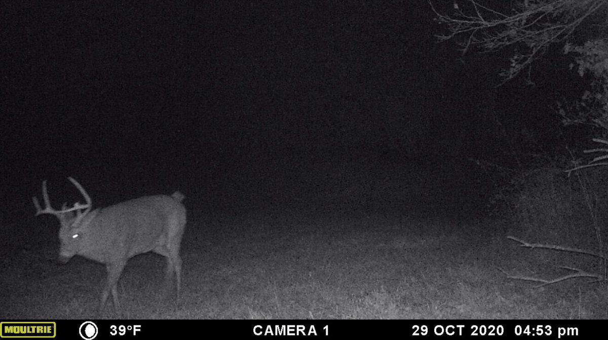 The hunt for this buck just went LIVE on our YouTube channel. You can click this link to watch!! They kill their 6th buck off the ground with no blind!

youtu.be/8joY3ei7kog