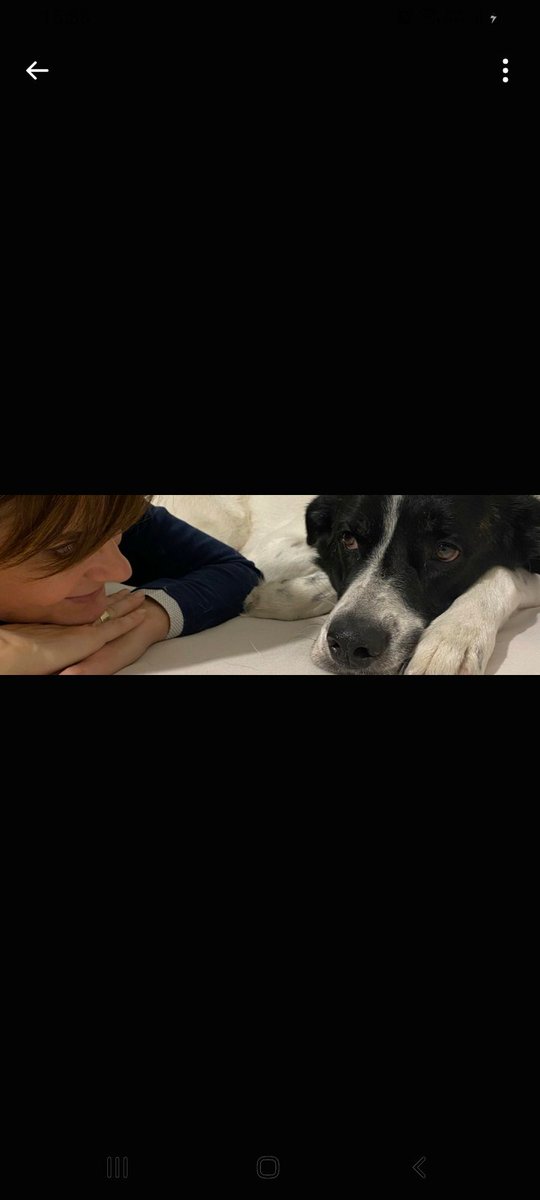 Hangisi <a href="/Canan_Kaftanci/">Canan Kaftancıoğlu</a> ?