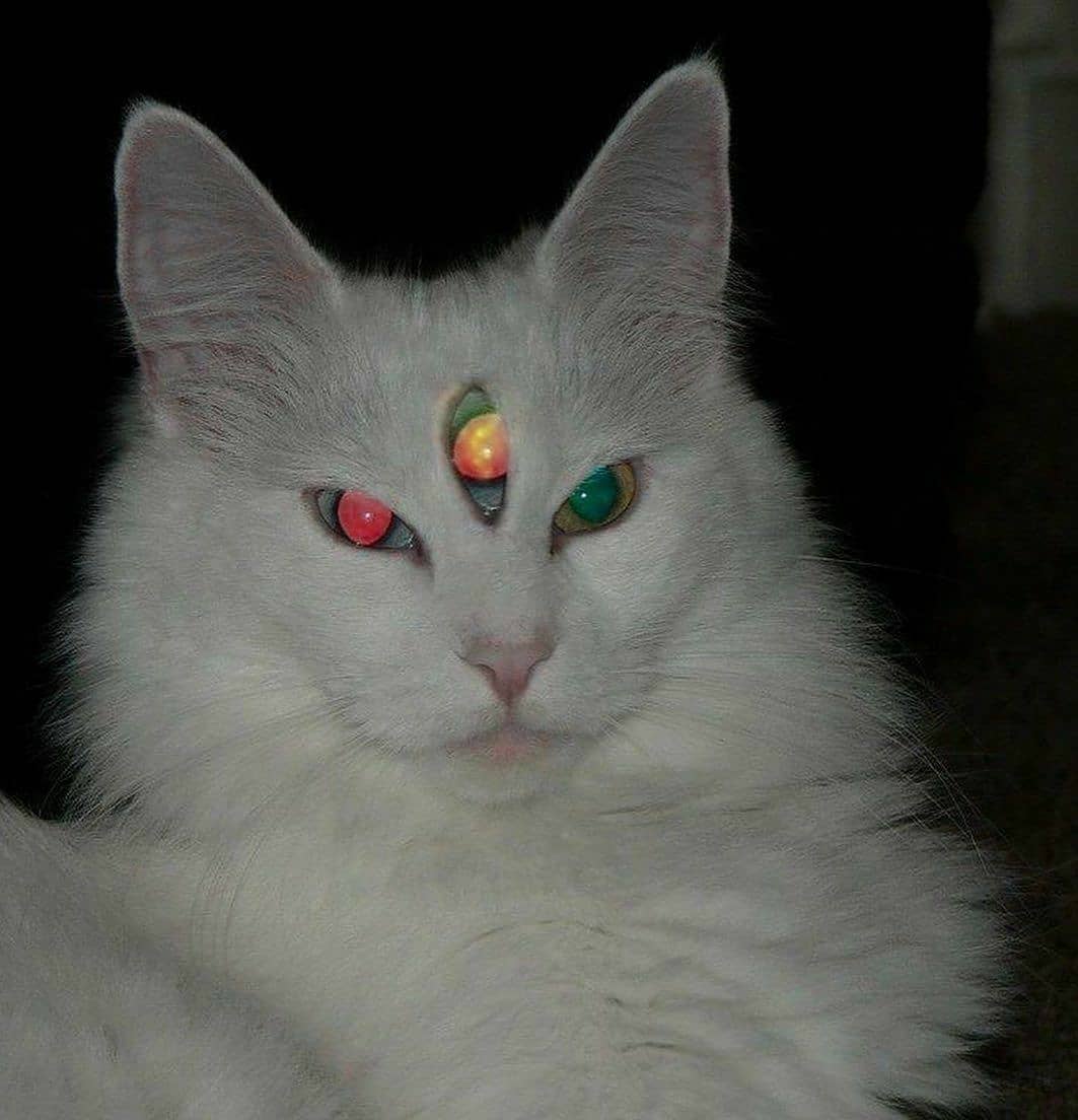 Film Craze (@film_craze) on Twitter photo 