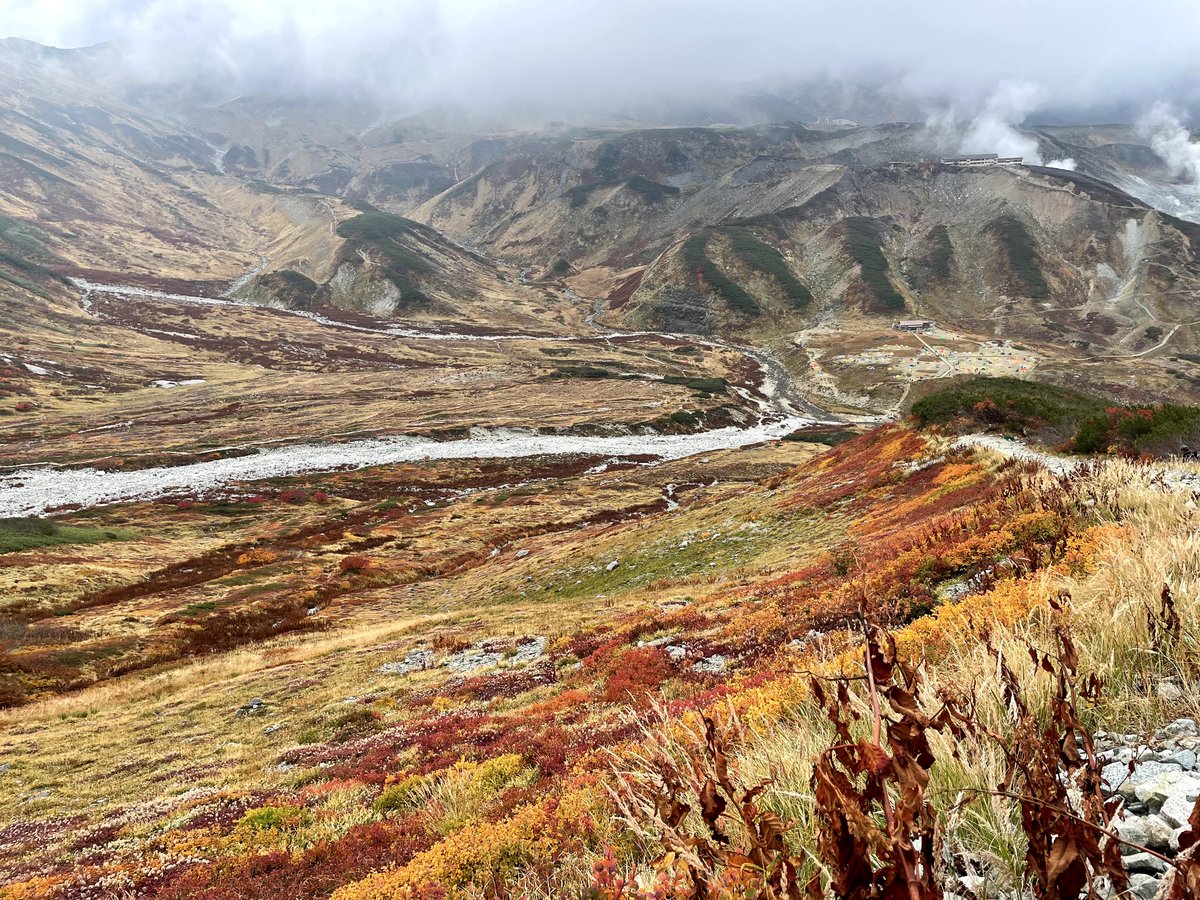 Alo_trek's tweet photo. 剣御前から雷鳥沢に向かう紅葉。
綺麗でした…。
剣山荘はもう小屋閉めとか。
山の秋は短いですね https://t.co/iLIMuWe6jV
