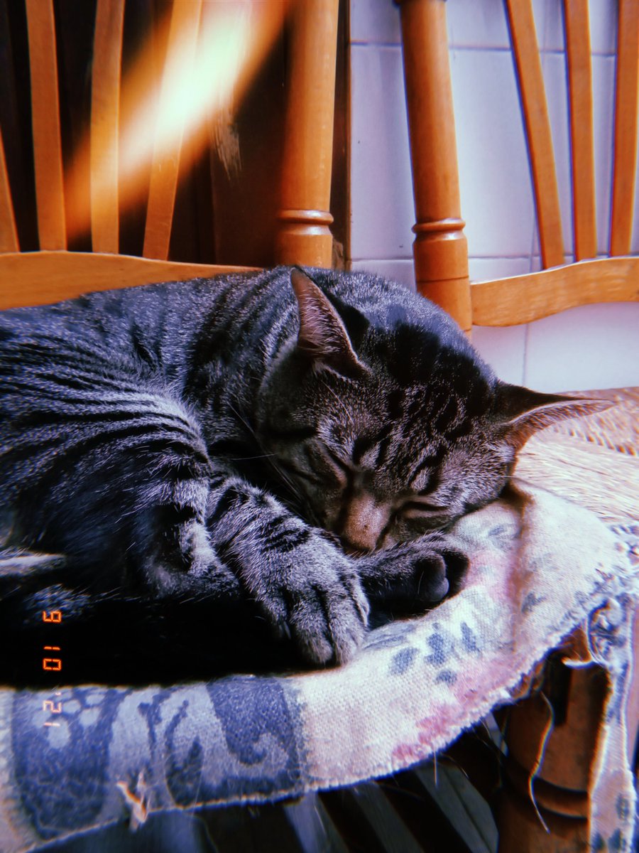 xndreapm's tweet photo. Cucú 🙈 https://t.co/QeiDOgju7e