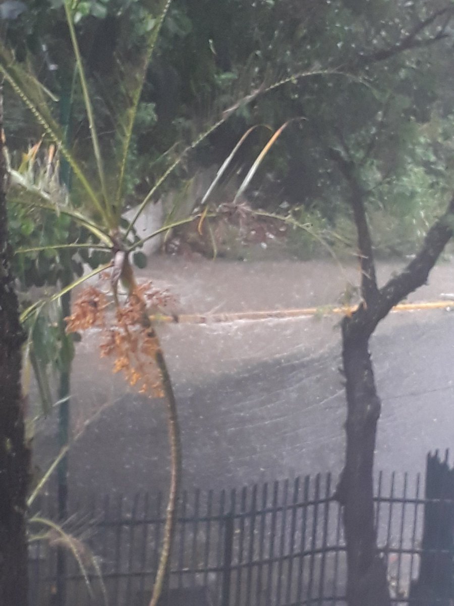 #ATENCION alcantarilla colapsada e inunda las calles de la Urb. Simon Rodriguez, Av trujillo diagonal al <a href="/STWarairarepan0/">STWarairarepano OFicial</a> tomar cartas en el asuntos autoridades @Nahumpsuv <a href="/corpocapitalgdc/">CorpoCapitalGDC</a> @BeatrizRpsuv <a href="/gestionperfecta/">Carmen Meléndez</a> <a href="/JacquelinePSUV/">Jacqueline Faria</a> <a href="/CorpoServicioDC/">CorpoServicioGDC</a> <a href="/Corp_libertador/">Corporación de Servicios Municipales Libertador</a>