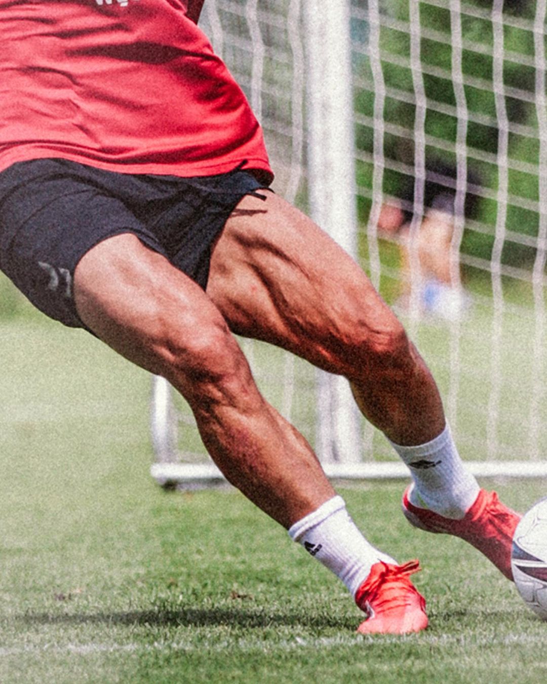 433 Poldi Official Doesn T Skip Leg Day Kazimgunyar T Co Nj6kkrfhbk Twitter