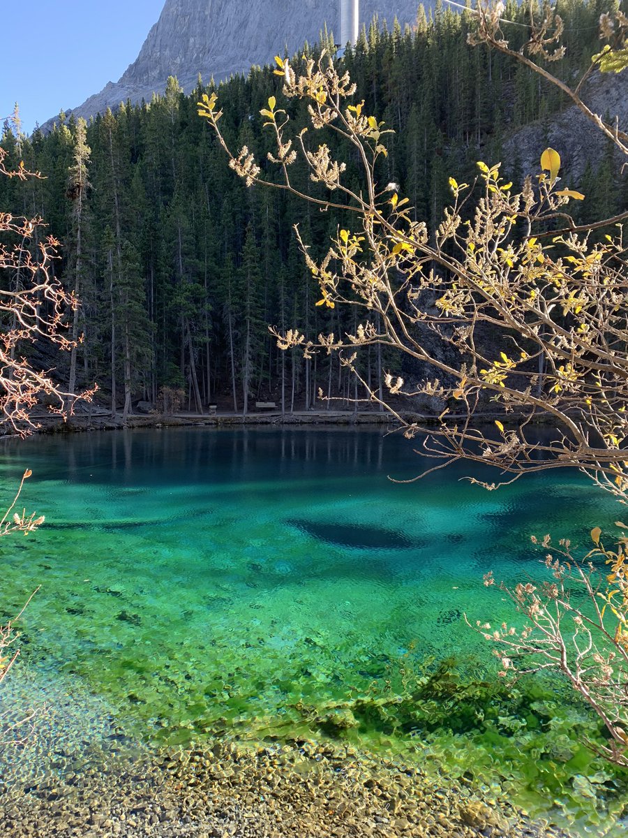 888She's tweet photo. Grassi Lake  #nofilterneeded #canmore #alberta https://t.co/maIDYHOI94