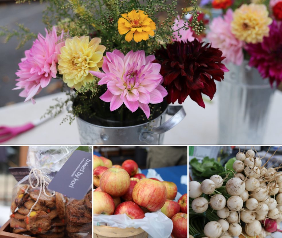 pedalpops tweet media