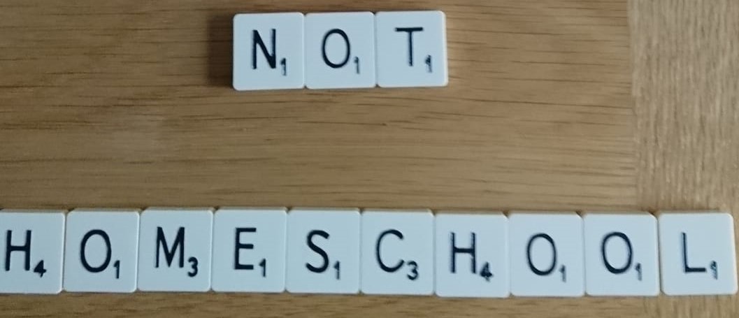 Home Education Scotland tweet media
