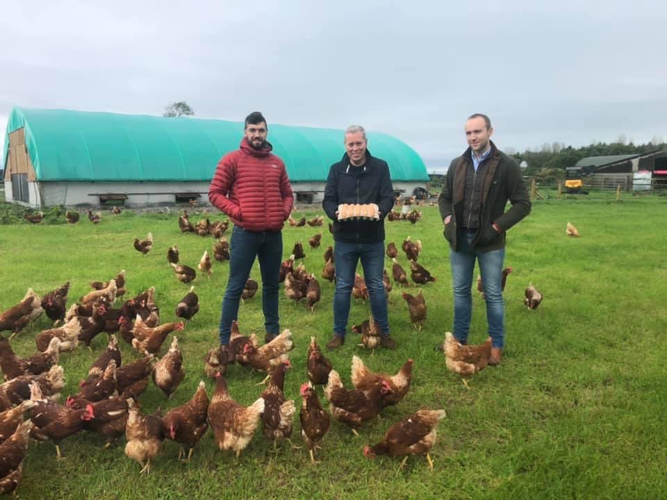 It was great to have Executive Head Chef, David McCann from <a href="/dromolandcastle/">Dromoland Castle</a> down to our new pasture raised poultry system.  We are very fortunate to be able to supply such a prestigious hotel.
#pastureraised #eggs #regenerativeagriculture