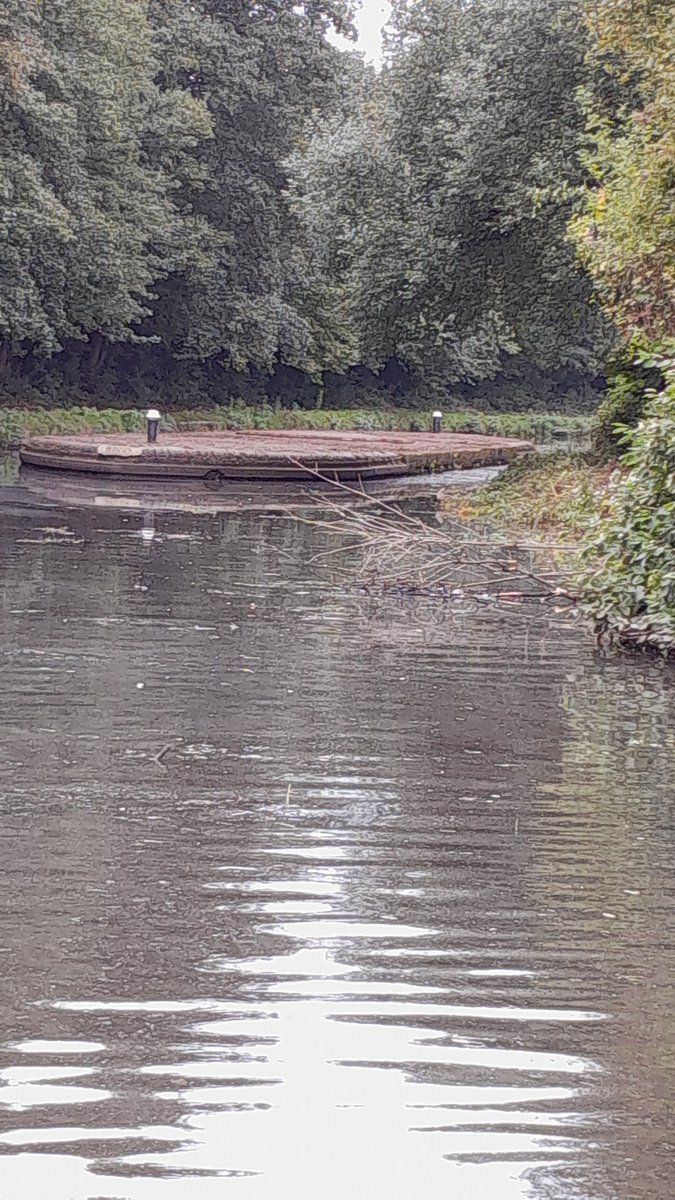 NathanCRT4's tweet photo. Spent today with @BCNSociety clearing the toll Island at Bromford stop! Who would of know there was bricks under all that vegetation! @CRTWestMidlands @CRTnotices 
@CRTvolunteers https://t.co/t4qNuihym3