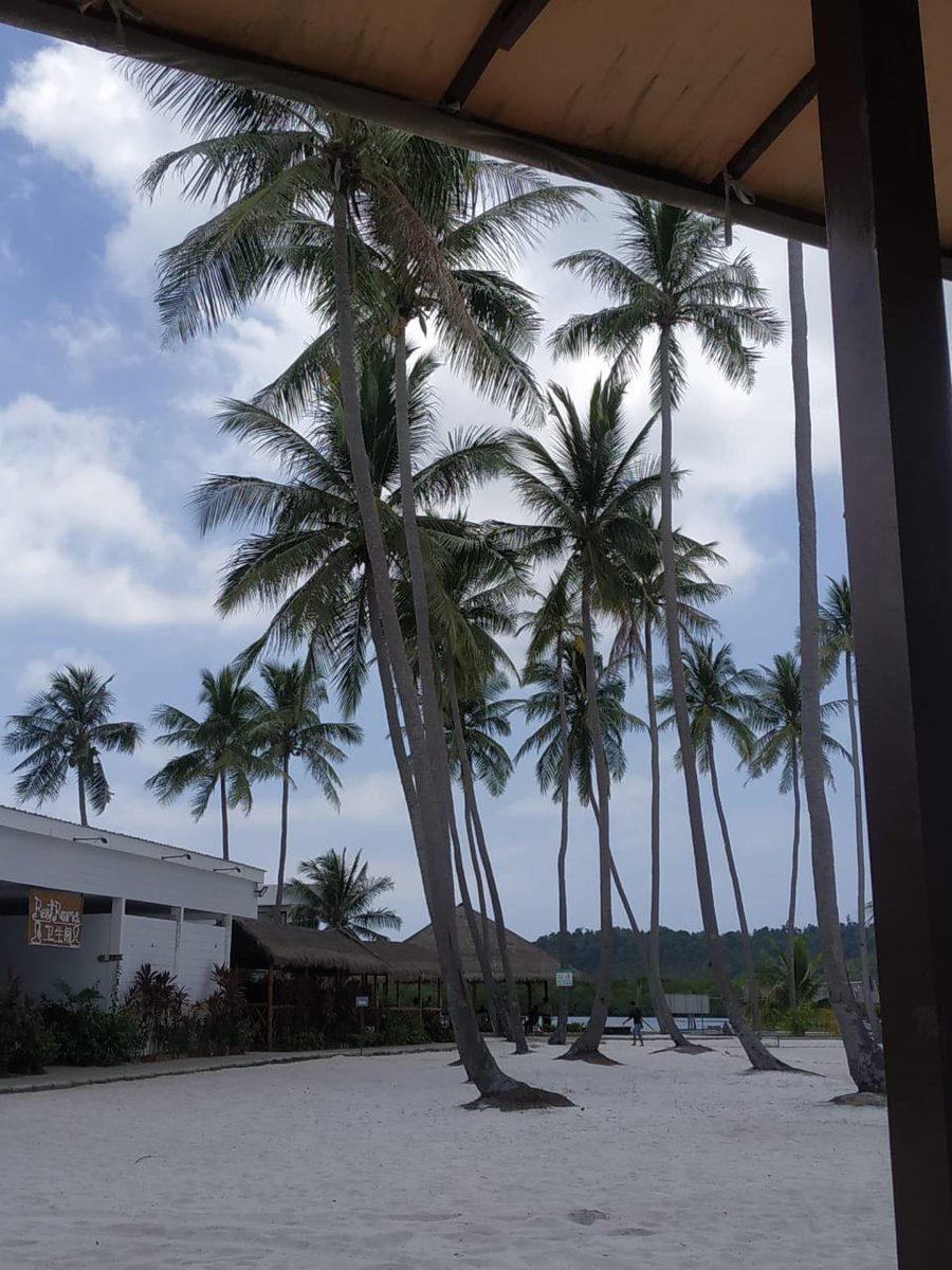 asleweirdo's tweet photo. I would like to try to save some of memories I traveled some places here. Small place but full of memories. Hope someday I could visit my dream destinations🙏

A thread

1. Ranoh Island, Batam, Kepri. https://t.co/holEtWAmdZ