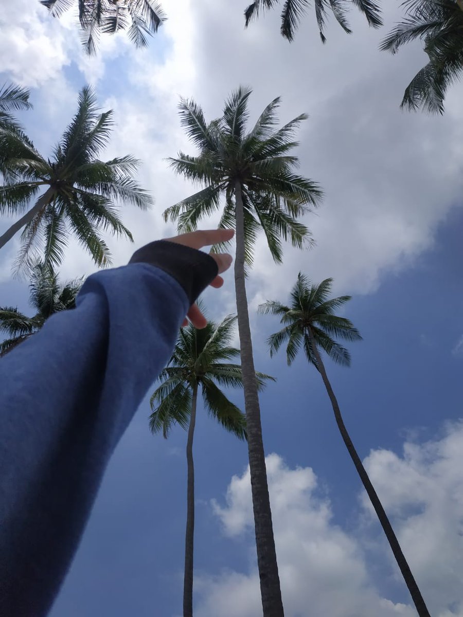 asleweirdo's tweet photo. I would like to try to save some of memories I traveled some places here. Small place but full of memories. Hope someday I could visit my dream destinations🙏

A thread

1. Ranoh Island, Batam, Kepri. https://t.co/holEtWAmdZ
