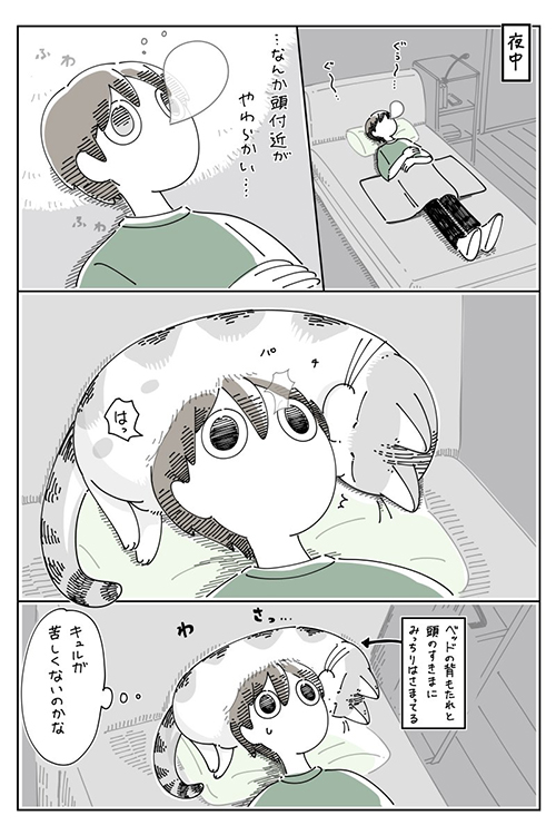 夜中にか細い猫の声が聞こえてきて…… 「どこかに閉め出してしまった!?」と焦る飼い主と猫の漫画があるある https://t.co/luzxmv24wm @itm_nlabより
