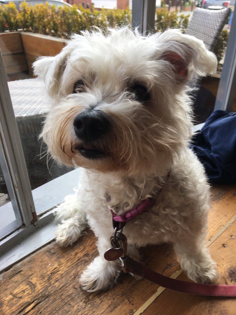 Hiya max <a href="/TobyBert1/">Maximus (Max) the icle bro of TobyBert1</a> and mom❤️ - how are you both doing? Xx