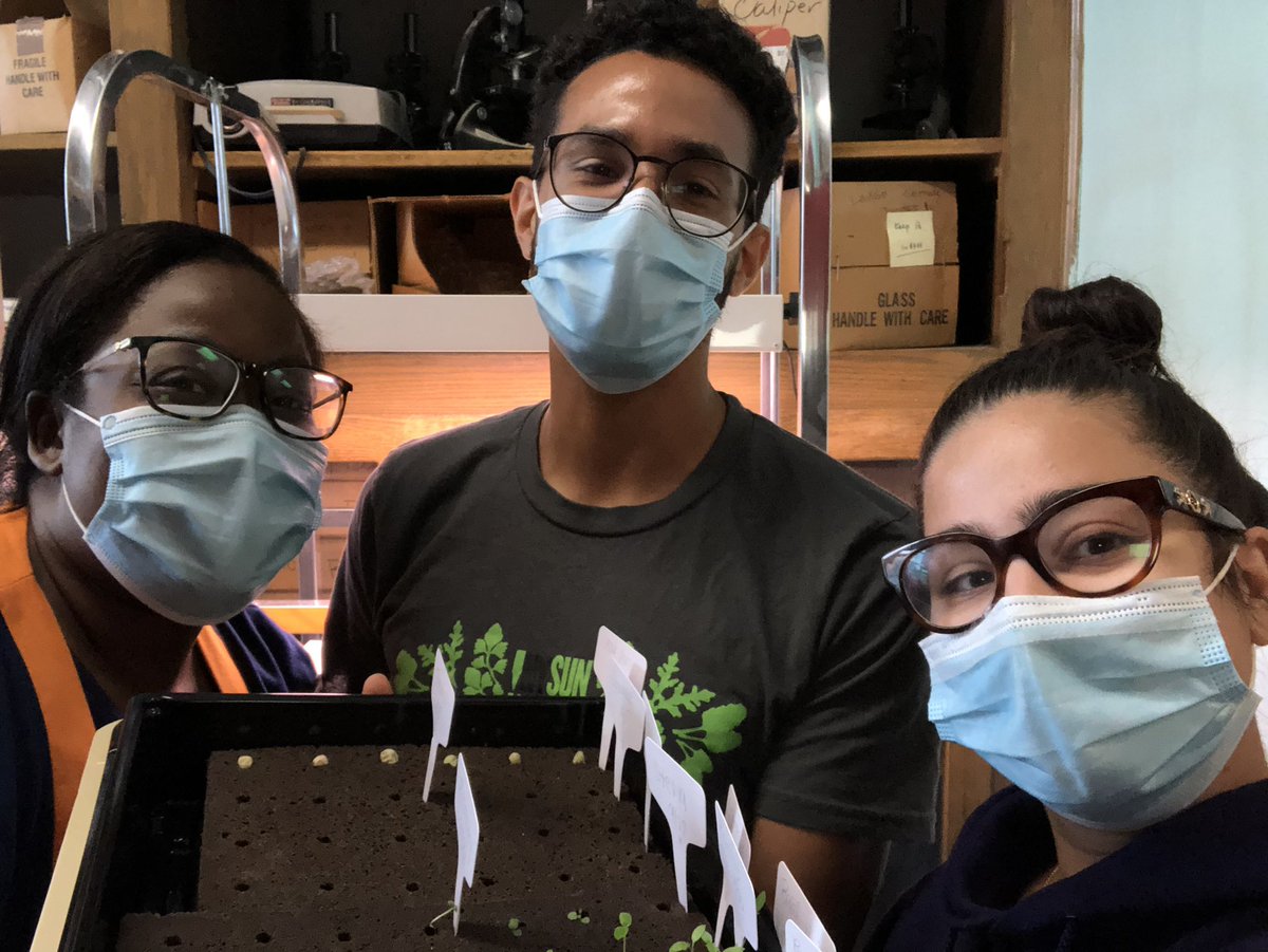 PortScience's tweet photo. Our hydroponics lab is up and running! The team: @thesciencediva and Ms. LaRosa. Thanks to Karolina and Ariel from @NYsunworks for guiding us. https://t.co/XdchDQrkIs