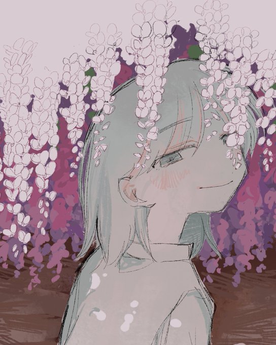 「collared shirt wisteria」 illustration images(Latest)