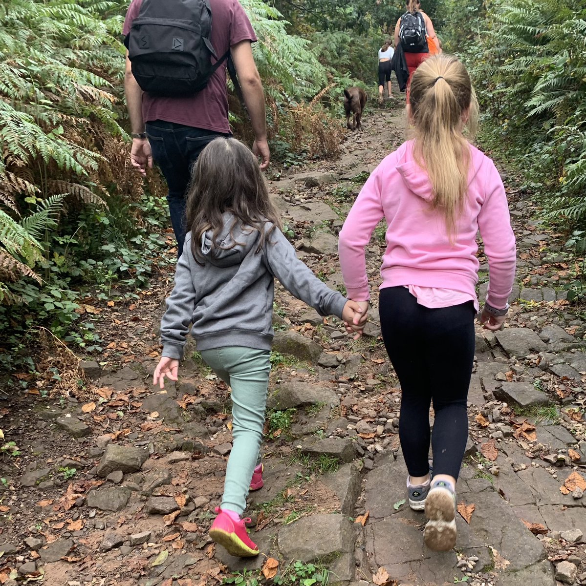 Griff_DEPUTY's tweet photo. 1/2 Thanks to all who came today. It was lovely to get out in the fresh air together. @BBCCiN @BBCCountryfile #countryfileramble @Griff_HEAD https://t.co/WW2C0B0z3y