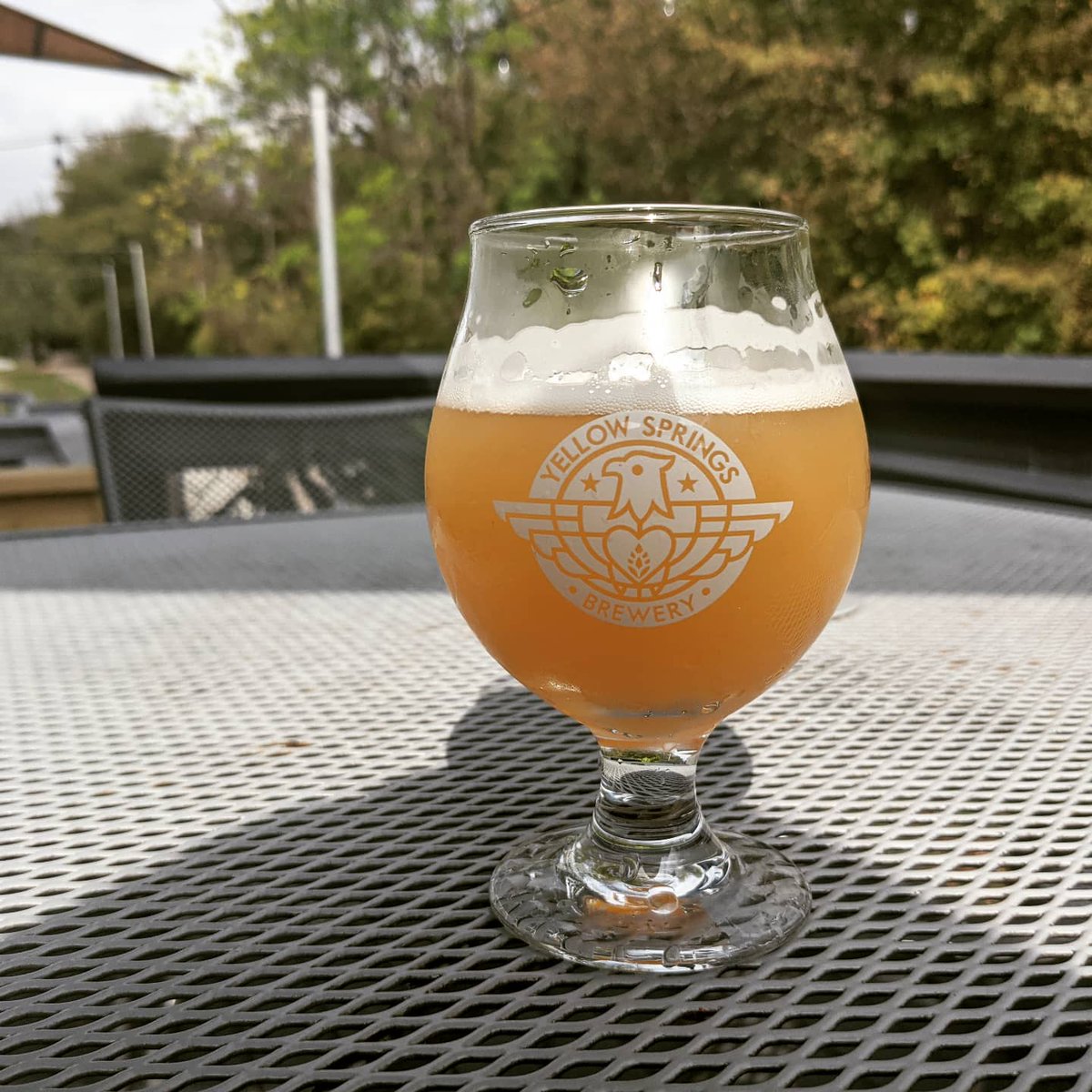 Got the chance to try <a href="/YSBrewery/">YellowSpringsBrewery</a> and <a href="/BranchAndBone/">Branch & Bone Ales</a> Autumn Zephyr the other day! It was such a perfect combo of fruit and hops!