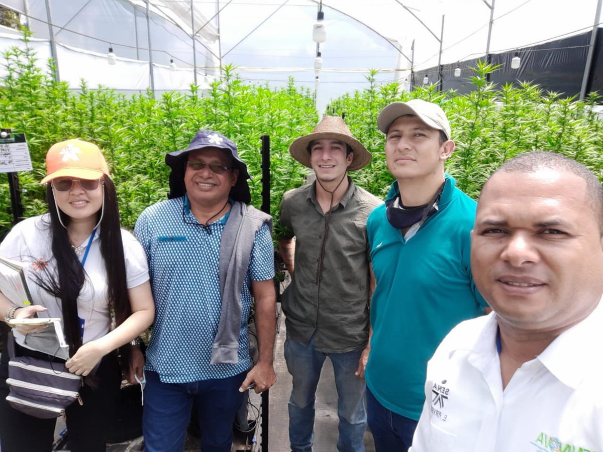 jnicobarrios's tweet photo. Nuestros instructores investigadores @Sennova_cabp del Centro Agropecuario y de Biotecnología El Porvenir @bley93 @Ricardo32173823 @JohnnyCorcho14 del @senaencordoba estuvieron en Medellín en Visita Técnica a Empresa Medical Cannabis Maria Juana Garders compartiendo experiencias https://t.co/33IAqIU5lJ