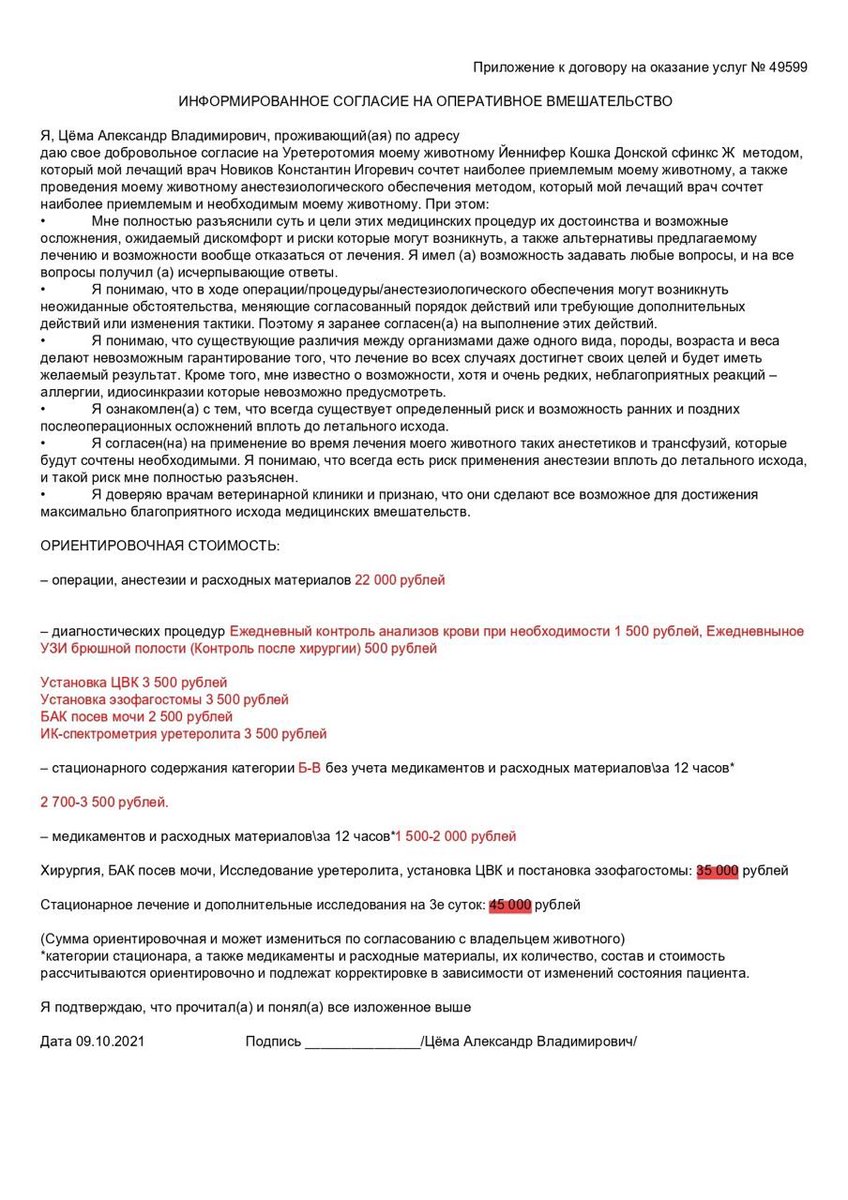 amai_lis's tweet image. Нашей малышке Йеннифер нужна уретеротомия из-за обструкции мочеточника. Всё стоит 80к. Фото приложения к договору и контакты клиники, если Вы хотите убедиться, вы можете позвонить и спросить: peskot.ru 
Реквизиты в треде