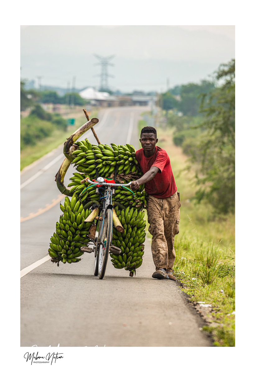 Ugand is fresh.. from lakes, environment, and even food. What on the plate feels more satisfying than fresh veggies, fresh , fresh fruits, fresh foods direct from the garden! In Uganda, freshness is beauty. #BeautifulUG #360mentor