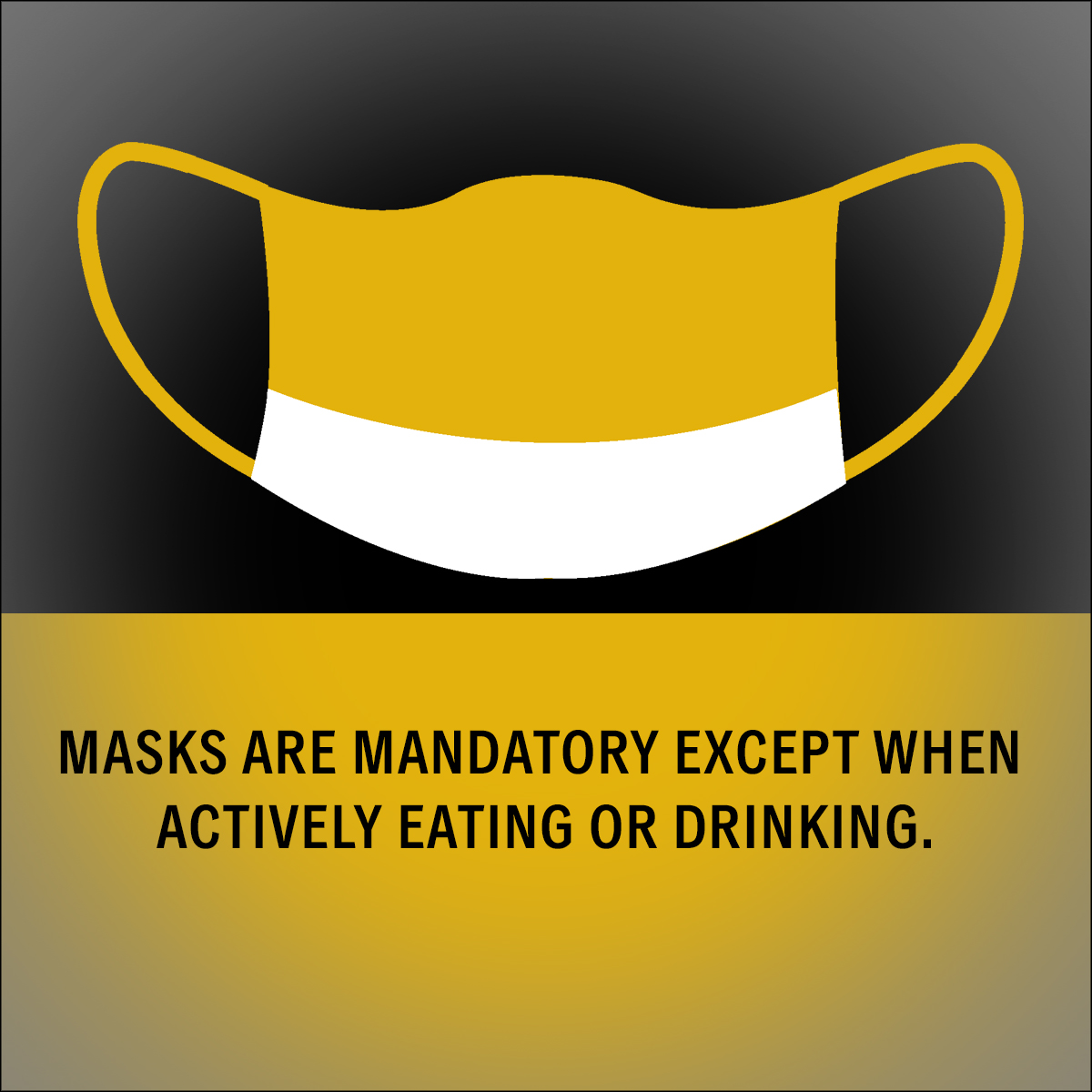 Dal Tigers tweet media