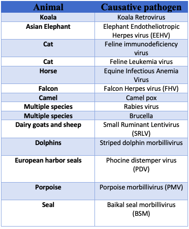 drgauravchandra's tweet photo. @ImKingofPrussia We are currently focussing on these veterinary and aquatic species. I hope that answers your question. https://t.co/rIBQxQWFxT