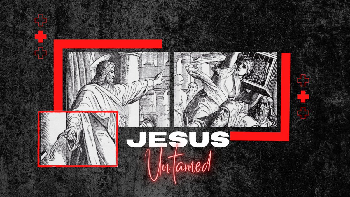 New series starts tomorrow