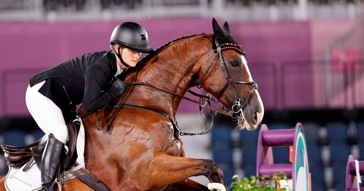 FEI_Global's tweet photo. Oh Mandy! Well, you came and you won the Olympics! ❤️
Horse of the Month is all about the horse, but Amande De B’Neville, cannot be celebrated without the context of what her rider, Julia Krajewski, has gone through... here's their incredible story 👉 https://t.co/o5EXodkFR9 https://t.co/V3rvLbnGG7
