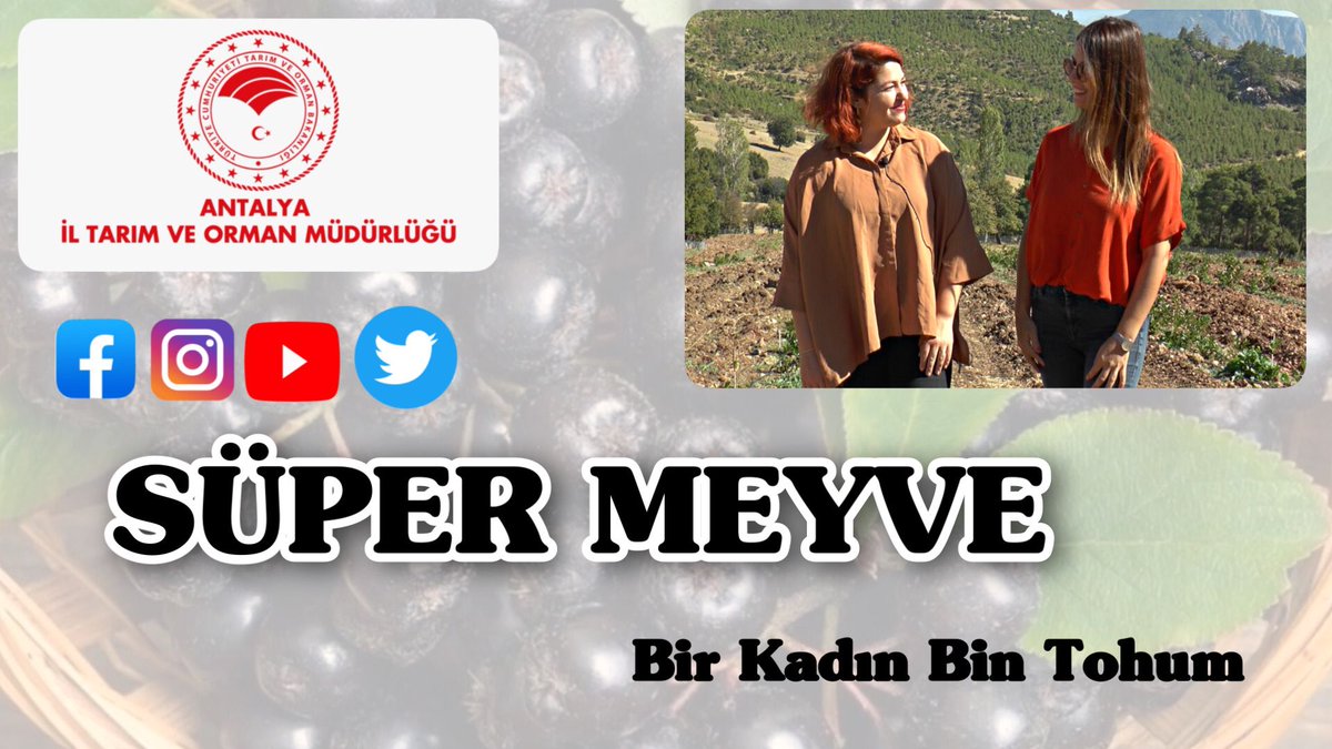 #BirKadınBinTohum

Melis Kayahan'la programımızın bu bölümünde #Korkuteli ilçemizde Aronya Yetiştiriciliği yapan Kadın Girişimci @LARAATA ile konuştuk

Süper Meyve #Aronya

youtu.be/iu1tvtUOUns

#GelecekTarımda
#TarımAntalyada

<a href="/gokhankaraca_/">Gökhan Karaca</a>  <a href="/ersinyazici1/">Ersin YAZICI</a> <a href="/bekirpakdemirli/">Dr. Bekir Pakdemirli</a>