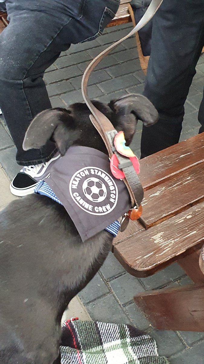 marshallk3's tweet photo. Massive thanks to @Heatonstan for @oisin.in.the.morning's new #StanCanineCrew bandana 😍 here's hoping it a lucky one after today's magnificent 7-0 win #StanArmy #FollowTheStan https://t.co/8excHBekQy