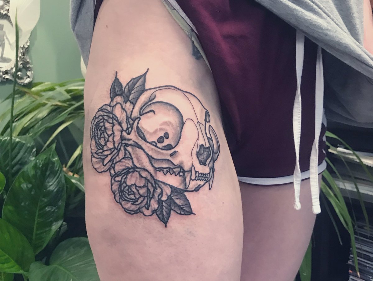 Candyylocks's tweet image. Kitty skull ☠️ 🐈‍⬛