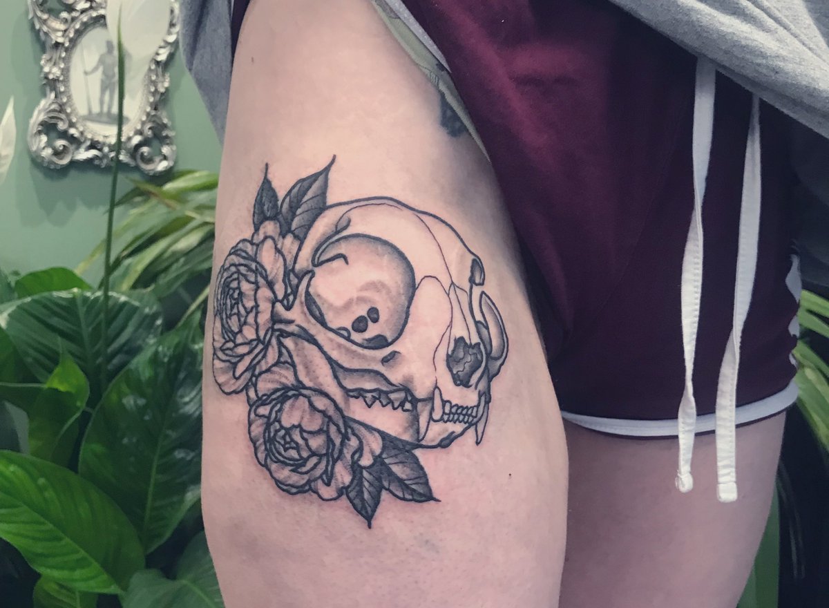 Candyylocks's tweet image. Kitty skull ☠️ 🐈‍⬛