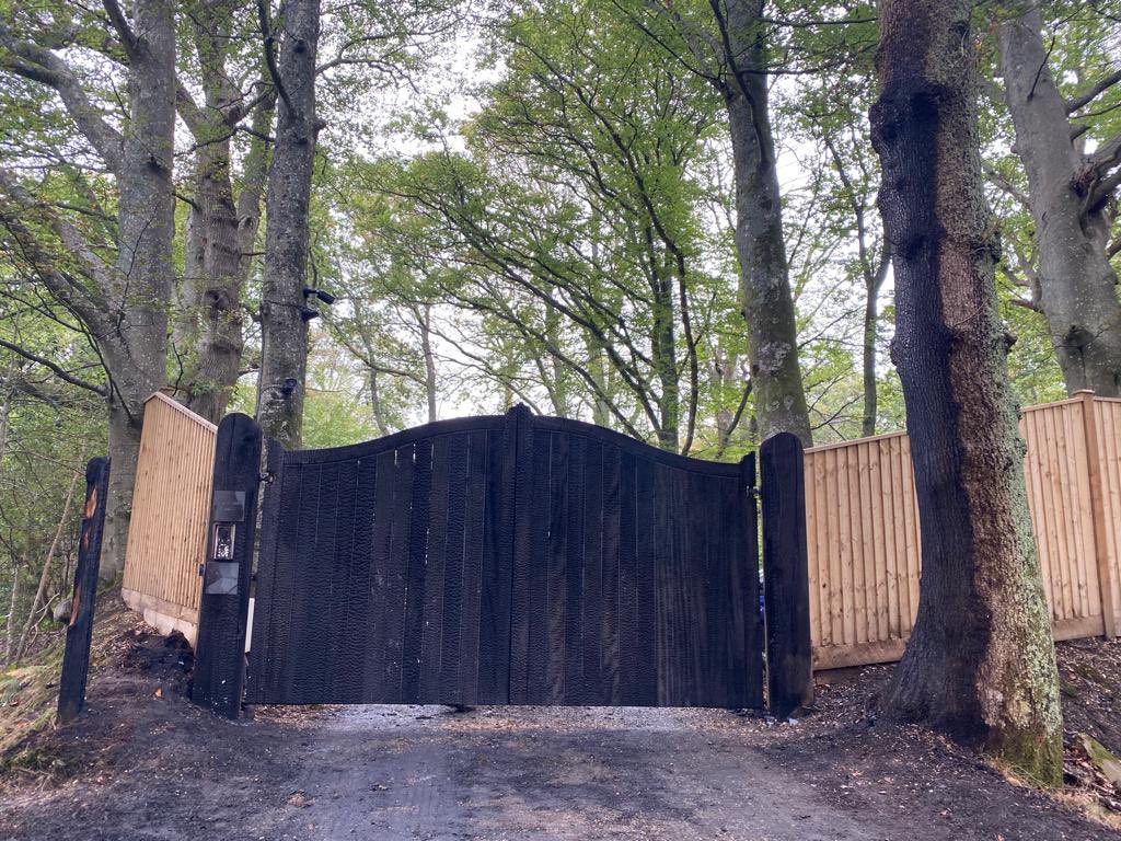 Chris Packham tweet media