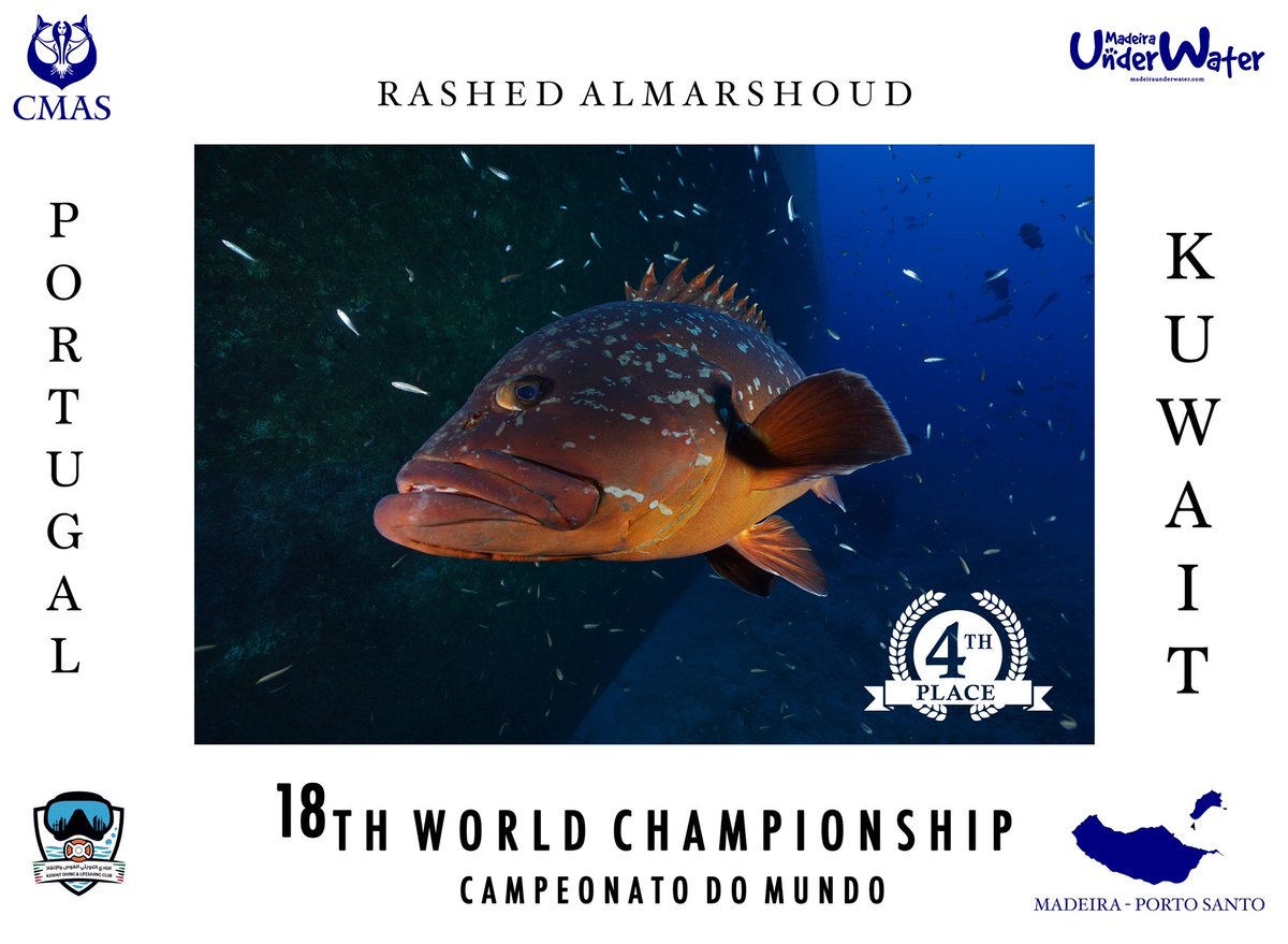BuMaRshouD's tweet photo. الحمدلله يا رب المركز الرابع في بطولة العالم للتصوير تحت الماء. 
اول مشاركه للمنتخب الكويتي للتصوير تحت الماء.
و القادم افضل بإذن الله https://t.co/bjJjYEUfye