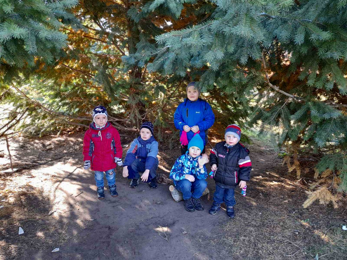 ГКУ СО ЦП ДОПР СОЗВЕЗДИЕ совершили восхитительную экскурсию в дендрарий!