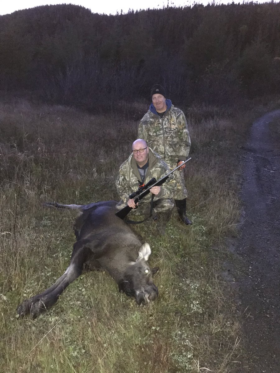 Getting it done in Newfoundland   Nice cow for the freezer. Two bull tags to go