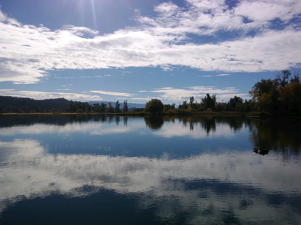 RanchEmu's tweet photo. Fish'n on Flathead was breathtaking. The weather was crisp but clear and the fish were biting! #montanaemuranch #flatheadlake #flatheadriver #flatheadvalley #Fishing #fishinglife #fishingislife #fishingaddict #fishingtrip #fishingdaily #montana #montanalife #montanamoment https://t.co/zxoPs7er1i