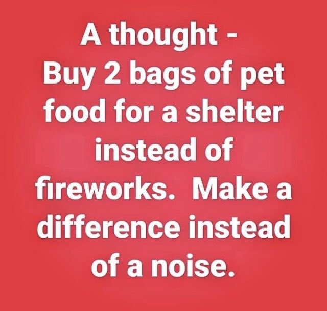 sarahcascarino's tweet photo. I’m going to keep posting this. https://t.co/vXRs0iK54t