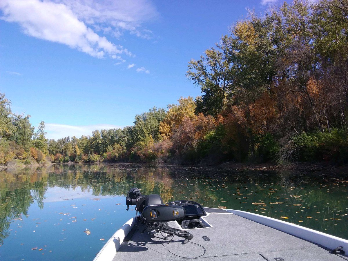 RanchEmu's tweet photo. Fish'n on Flathead was breathtaking. The weather was crisp but clear and the fish were biting! #montanaemuranch #flatheadlake #flatheadriver #flatheadvalley #Fishing #fishinglife #fishingislife #fishingaddict #fishingtrip #fishingdaily #montana #montanalife #montanamoment https://t.co/zxoPs7er1i
